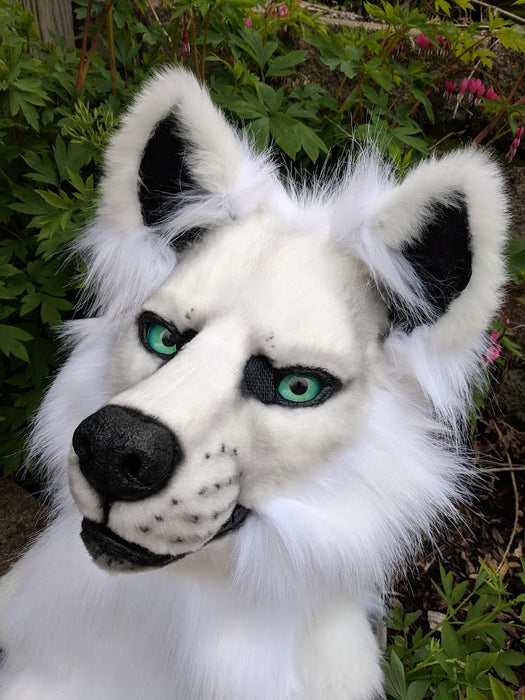 Solid Color Fursuit Head Order