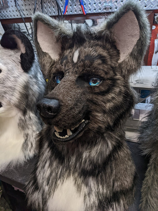 Kai Ken Mix Head, Hands, Tail.