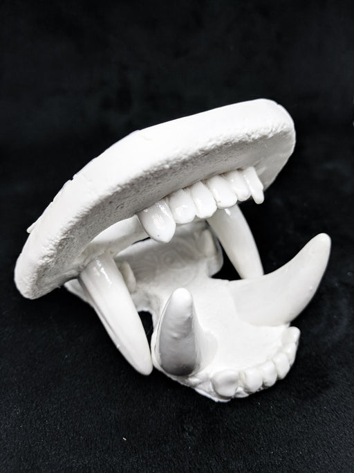 Wolverine Jaw Set