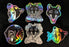 Holographic DK Head Logo Sticker